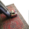 Carpet Cleaning Tips